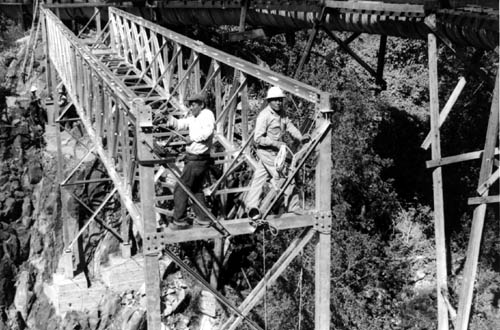 FossilSprings