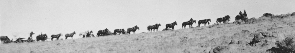 Mule train pulling freight to the construction site.