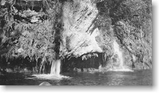 FossilSprings